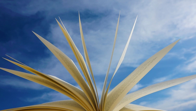 6. 飛行運行類(lèi)技術(shù)出版物.jpg